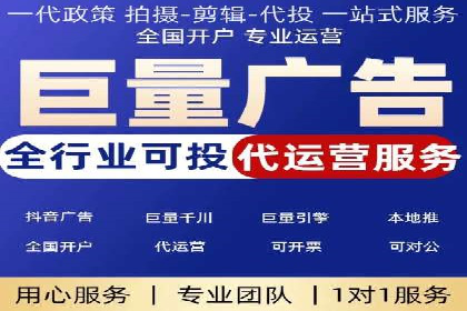 网络推广策略：竞价广告的实践案例